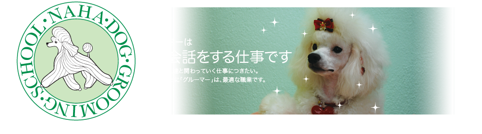 グルーマーは犬と会話をする仕事です。犬が好き。犬達と関わっていく仕事につきたい。そんなあなたに「グルーマー」は、最適な職業です。